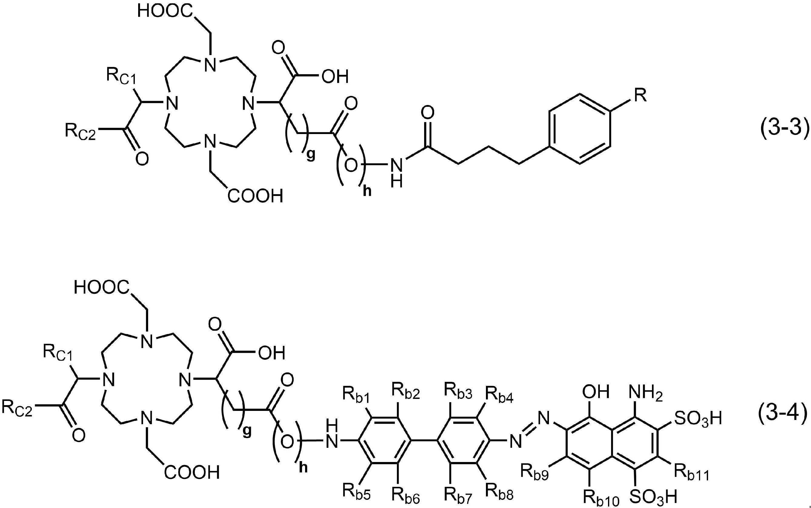 Figure JPOXMLDOC01-appb-C000031