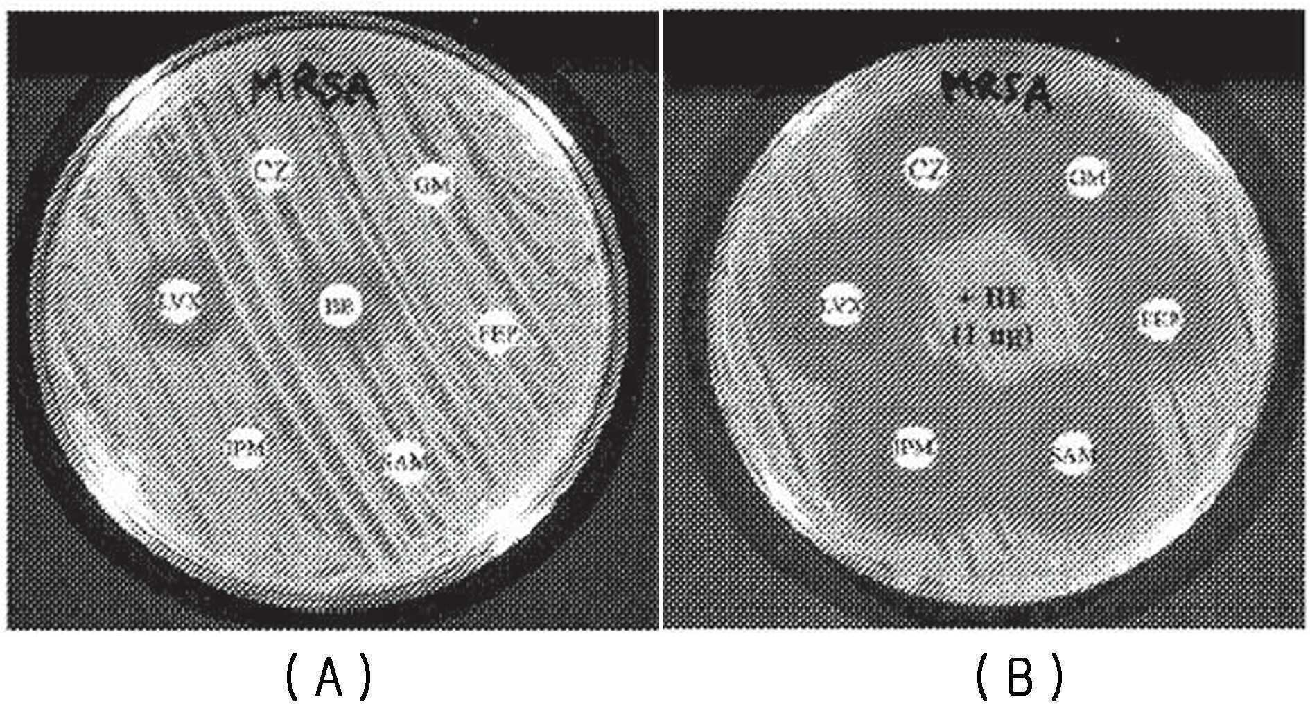 KR20170136009A - 세균 균막의 치료 및 다른 용도를 포함하는, 생의학적 용도를 위한 방부제로서 비스무트-티올 -  Google Patents