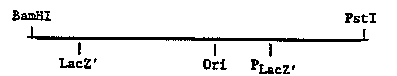 Figure imgb0010