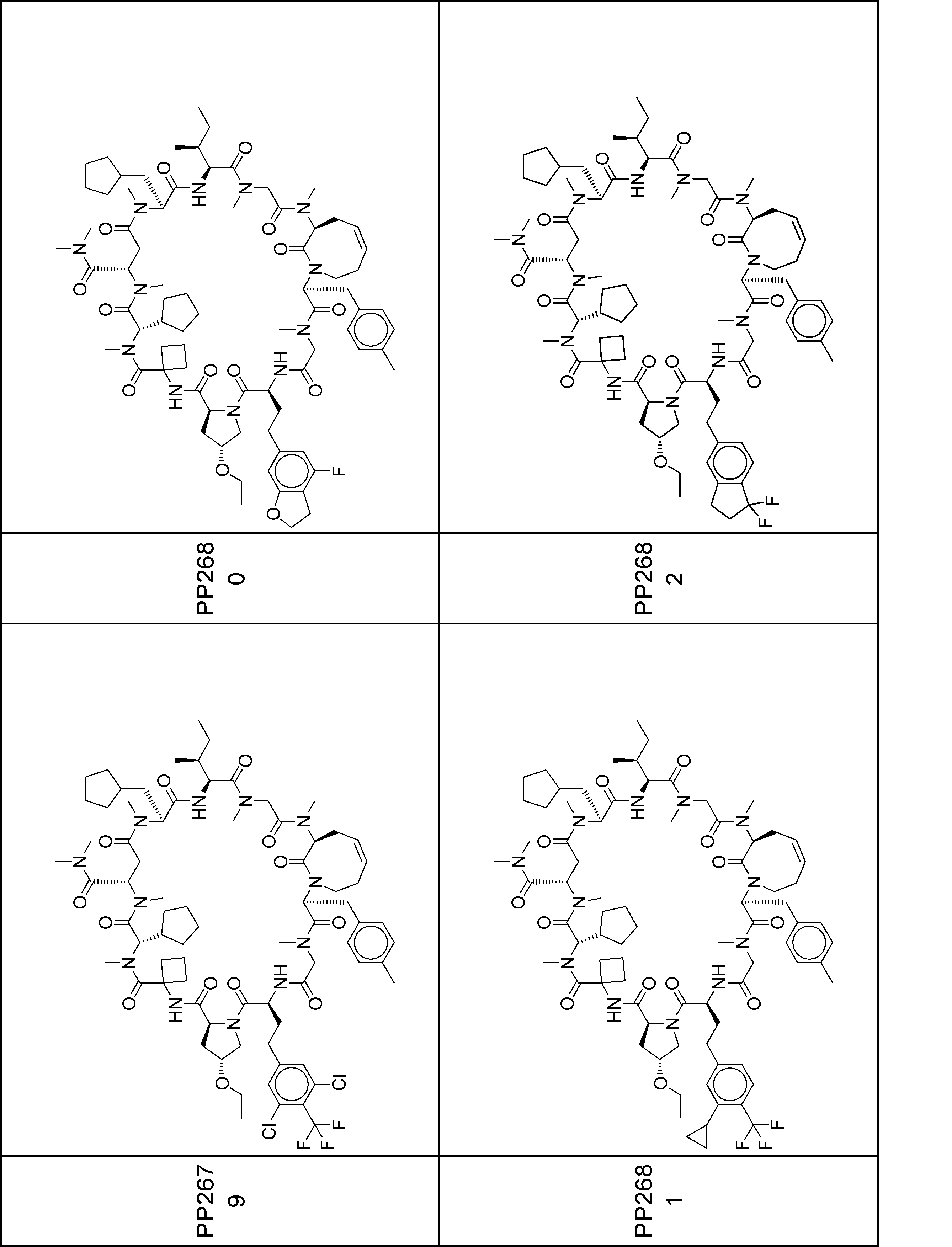 Figure JPOXMLDOC01-appb-I001124
