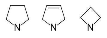 Figure JPOXMLDOC01-appb-C000100