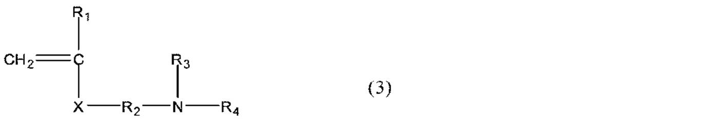 Figure JPOXMLDOC01-appb-C000004