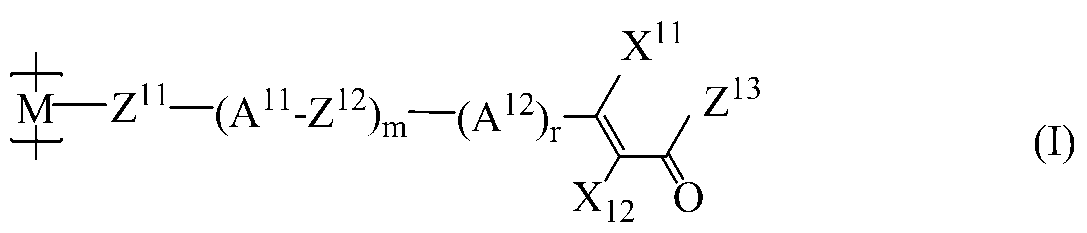 Figure JPOXMLDOC01-appb-C000014