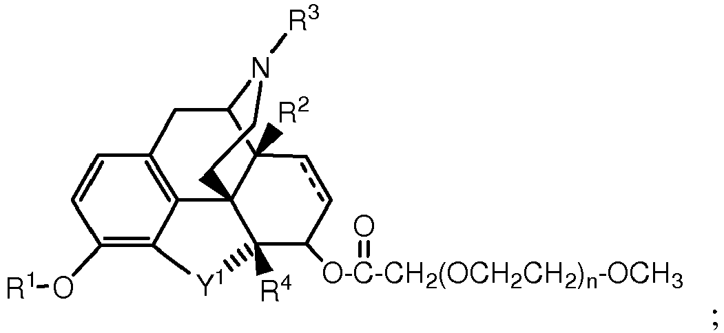 Figure imgb0013