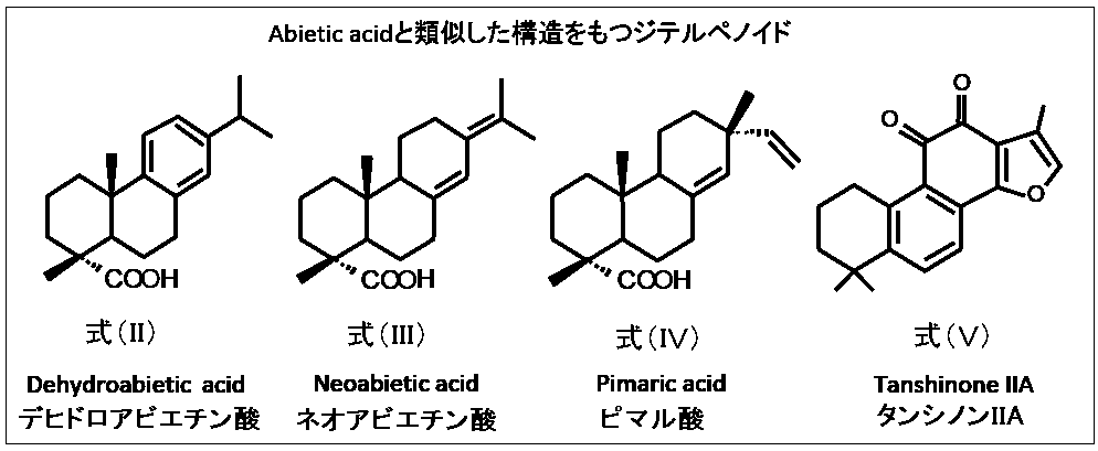 Figure JPOXMLDOC01-appb-C000002