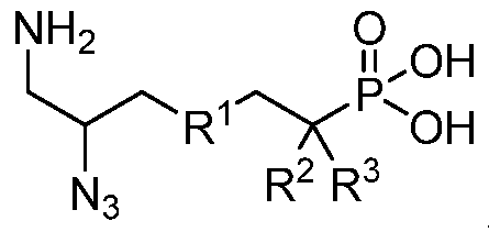 Figure imgf000013_0001