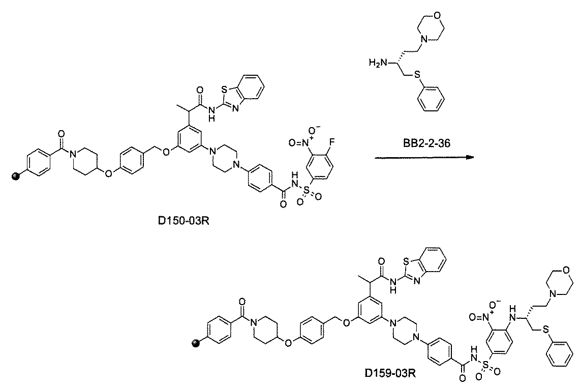 Figure JPOXMLDOC01-appb-C002593