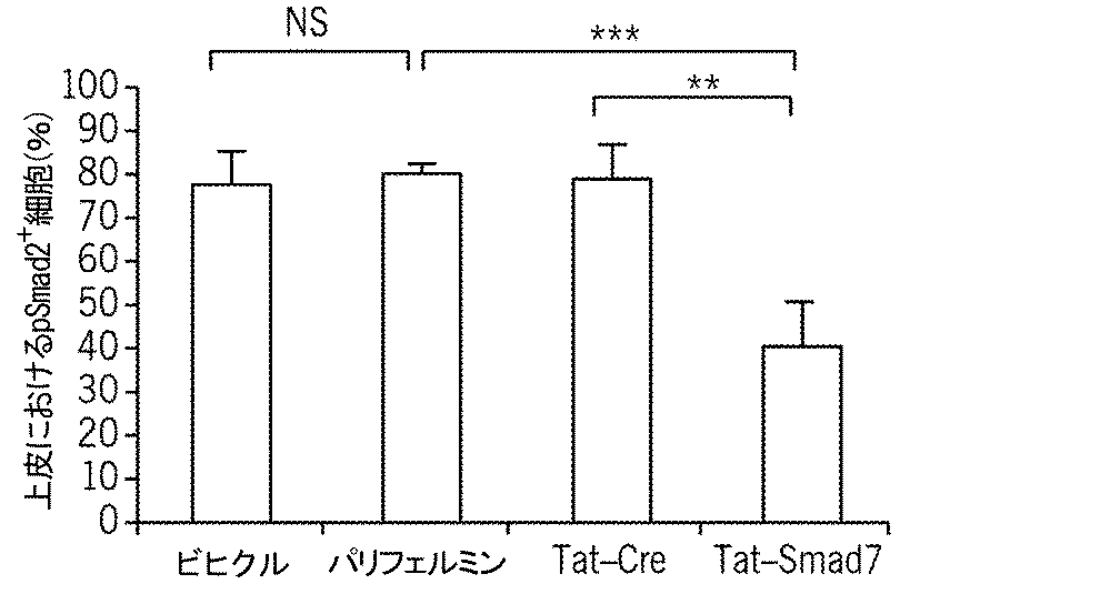 Figure 2016510596