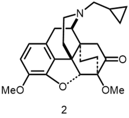 Figure JPOXMLDOC01-appb-C000013