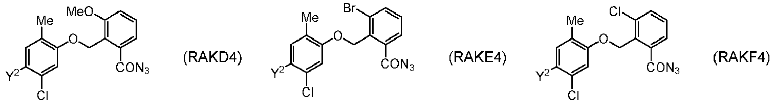 Figure imgb0474