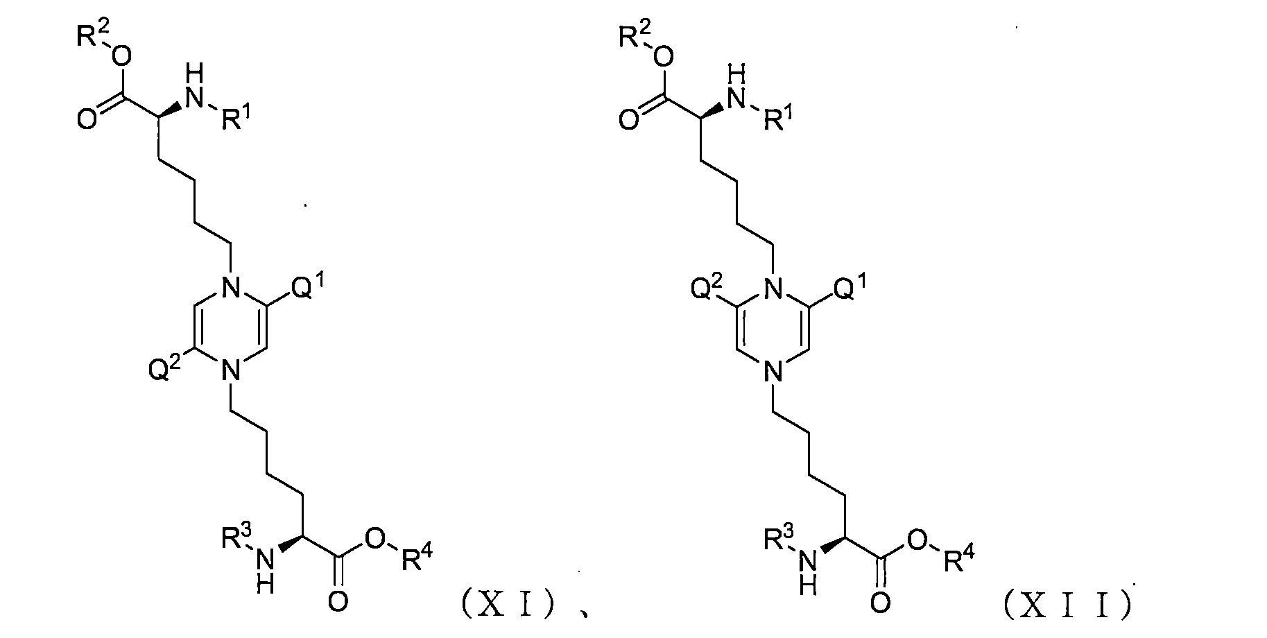 Figure JPOXMLDOC01-appb-C000013