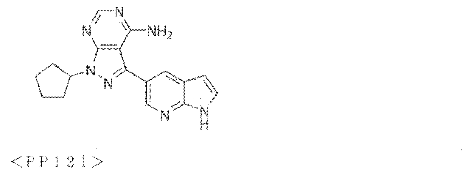 Figure JPOXMLDOC01-appb-C000028