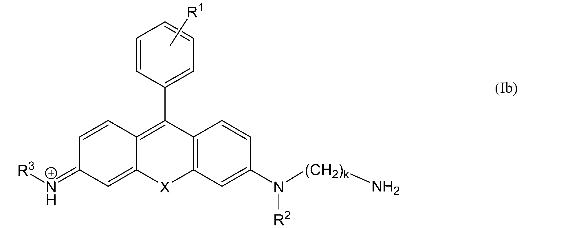 Figure JPOXMLDOC01-appb-C000014