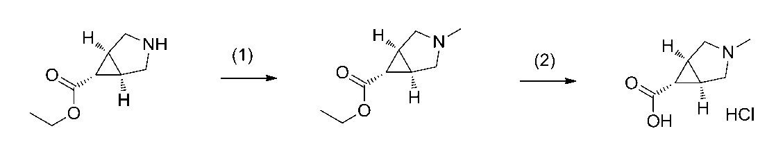 Figure JPOXMLDOC01-appb-C000063