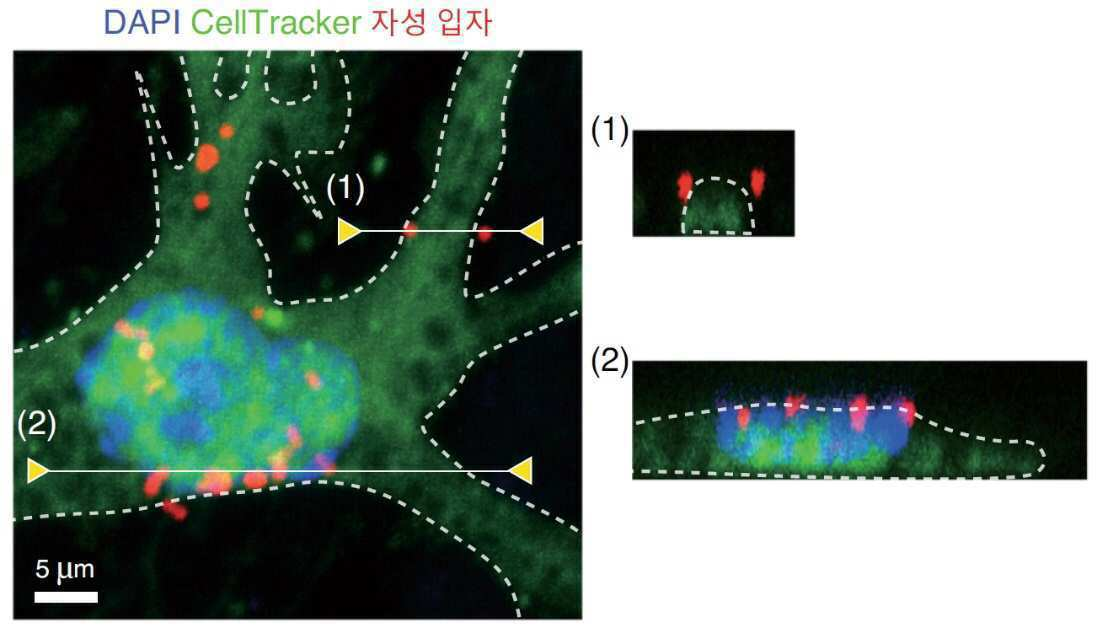 특허 도면 12