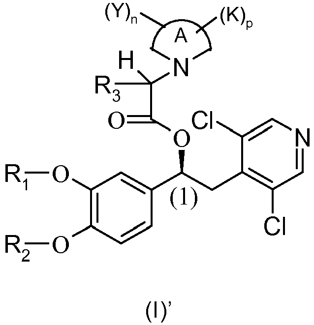 Figure imgb0013