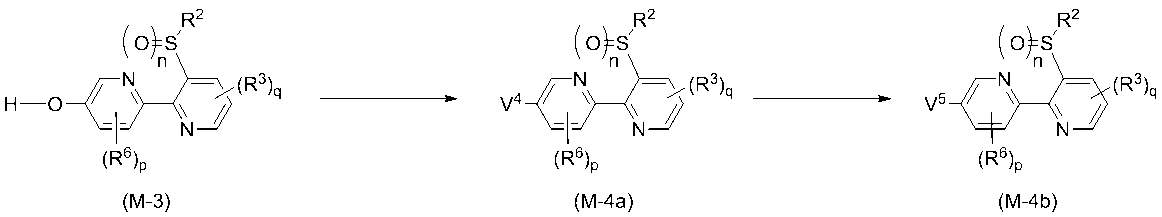 Figure JPOXMLDOC01-appb-C000035