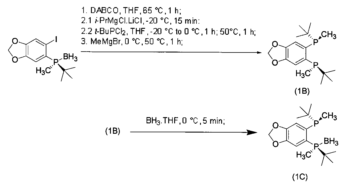 Figure JPOXMLDOC01-appb-C000021