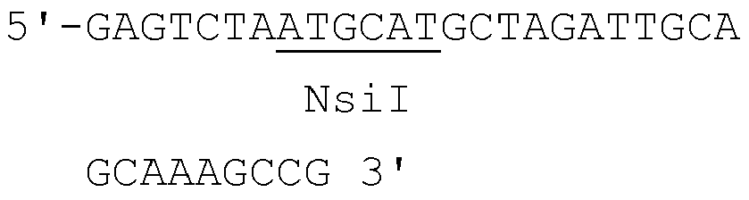 Figure imgb0002