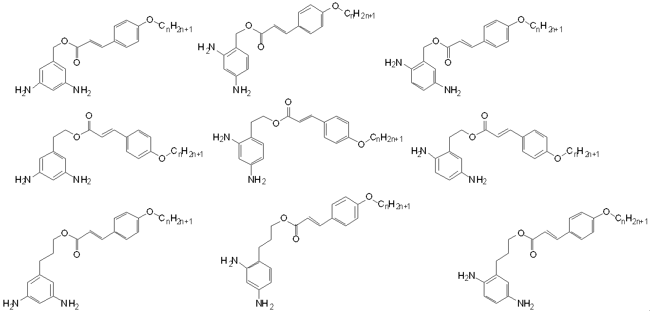 Figure JPOXMLDOC01-appb-C000022