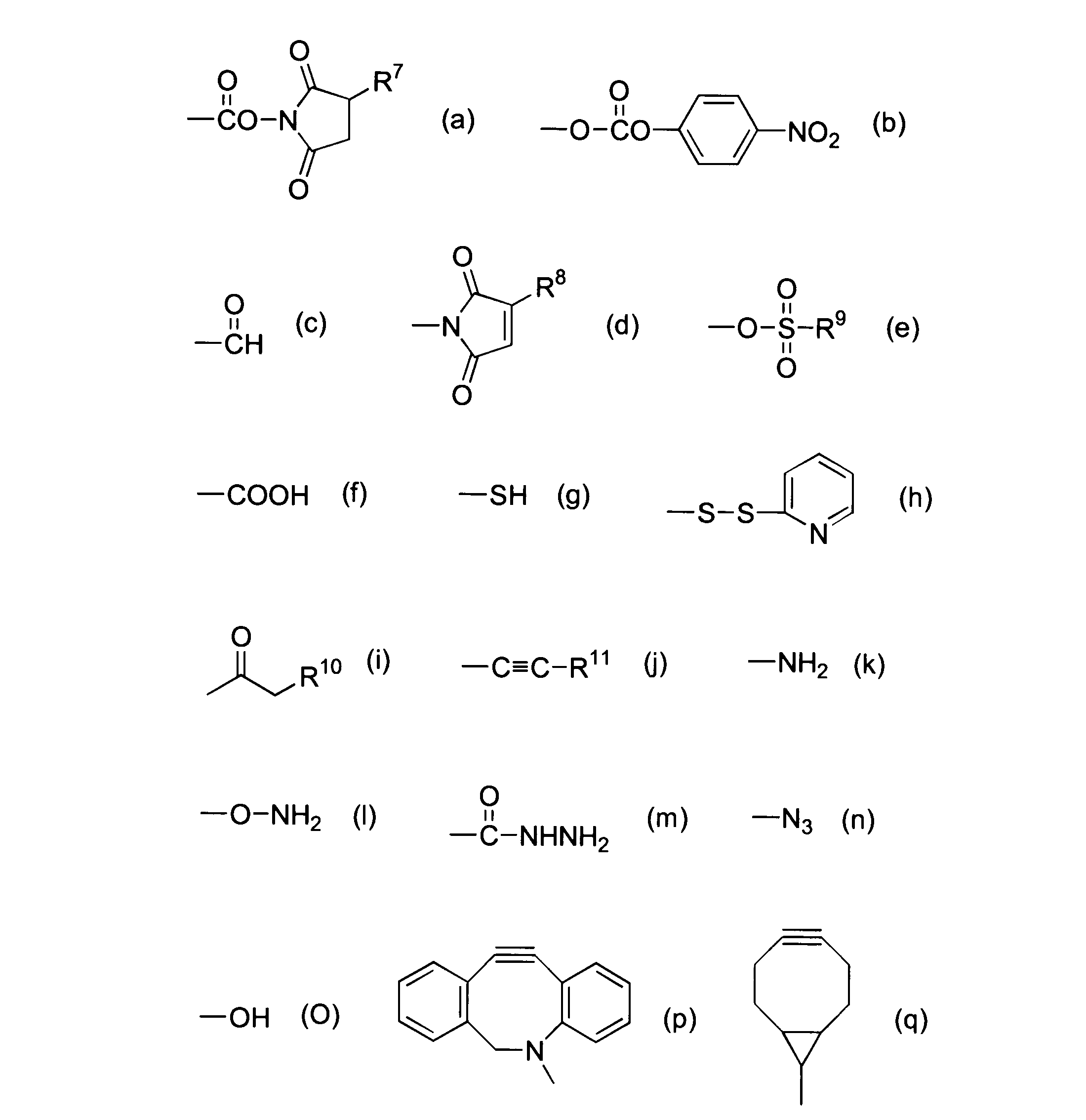 Figure JPOXMLDOC01-appb-C000029