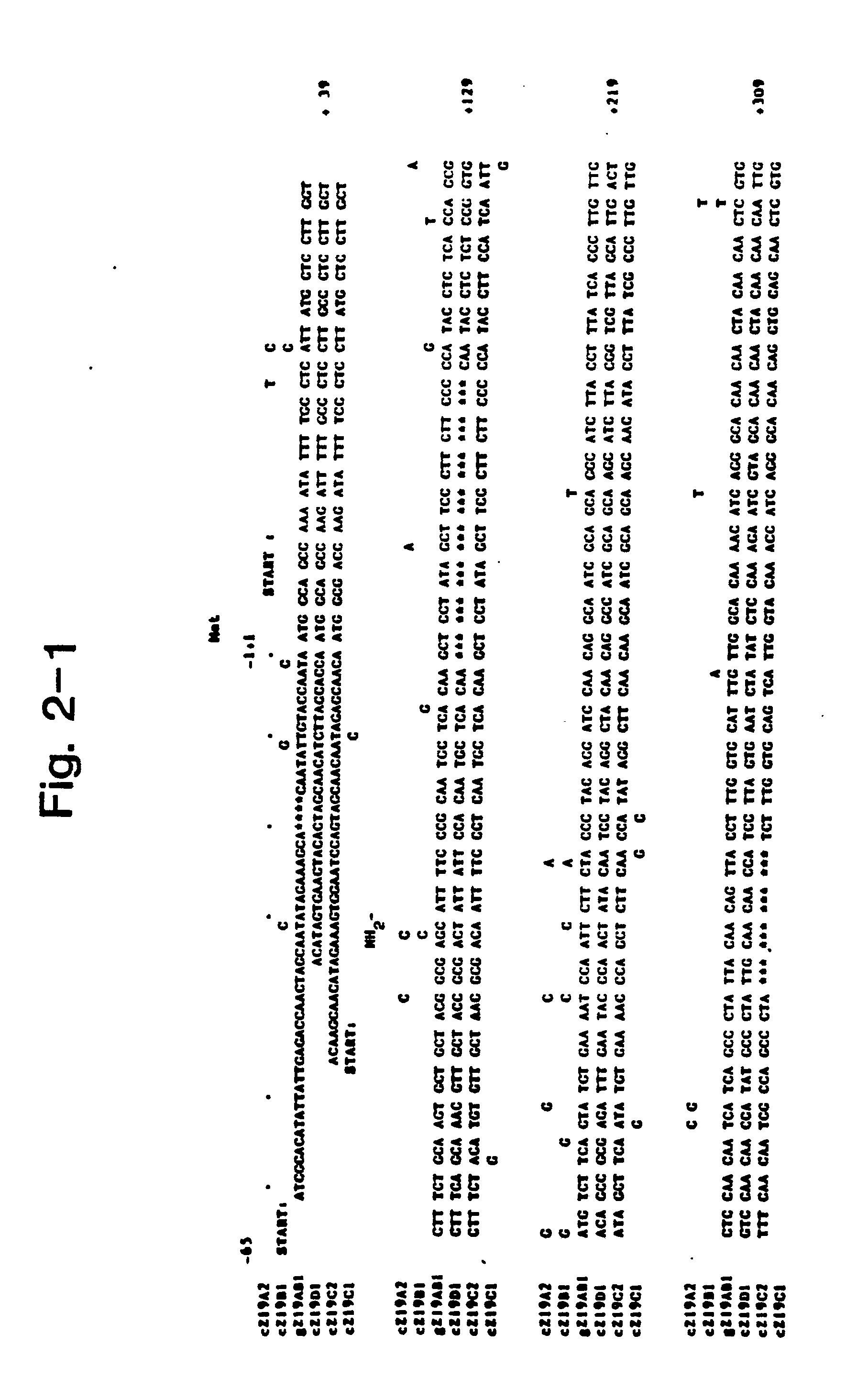 Epb1 Modified Zein Google Patents Epb1 Modified Zein Google Patents