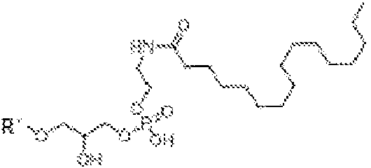 Figure imgf000014_0001