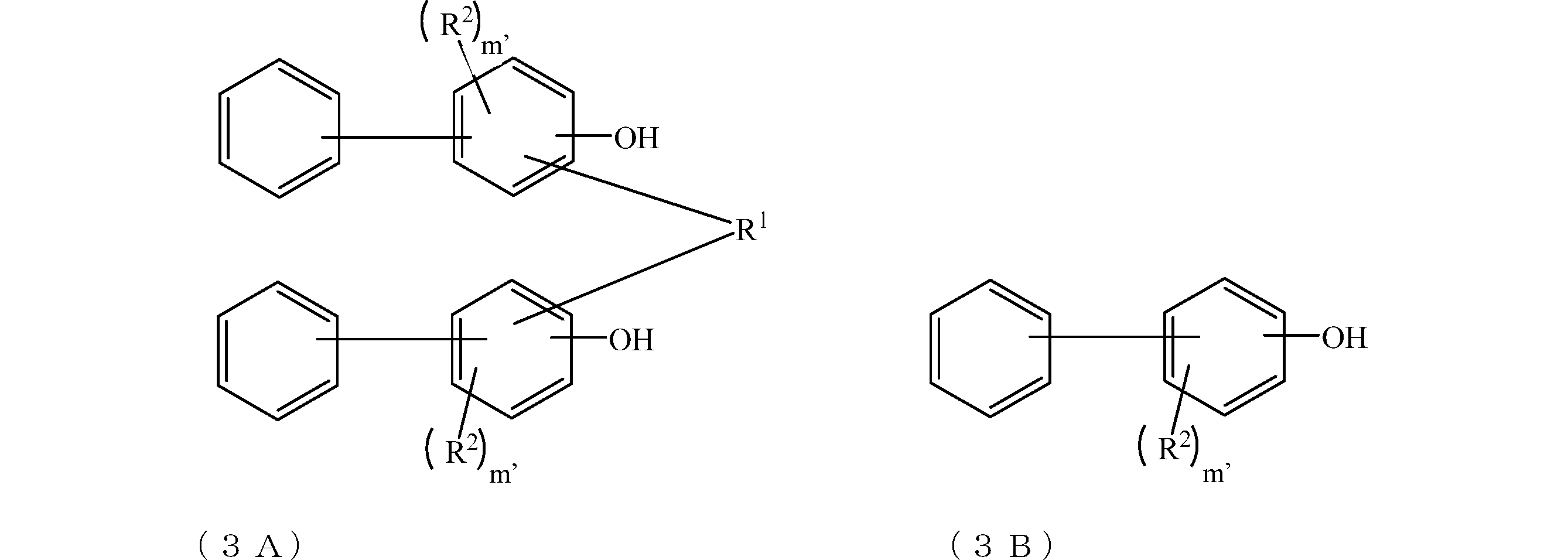 Figure JPOXMLDOC01-appb-C000013