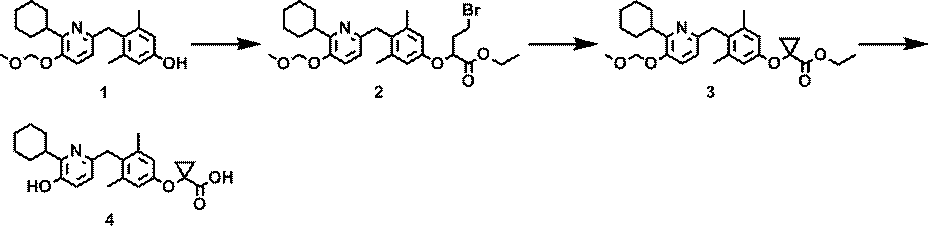 Figure JPOXMLDOC01-appb-C000046