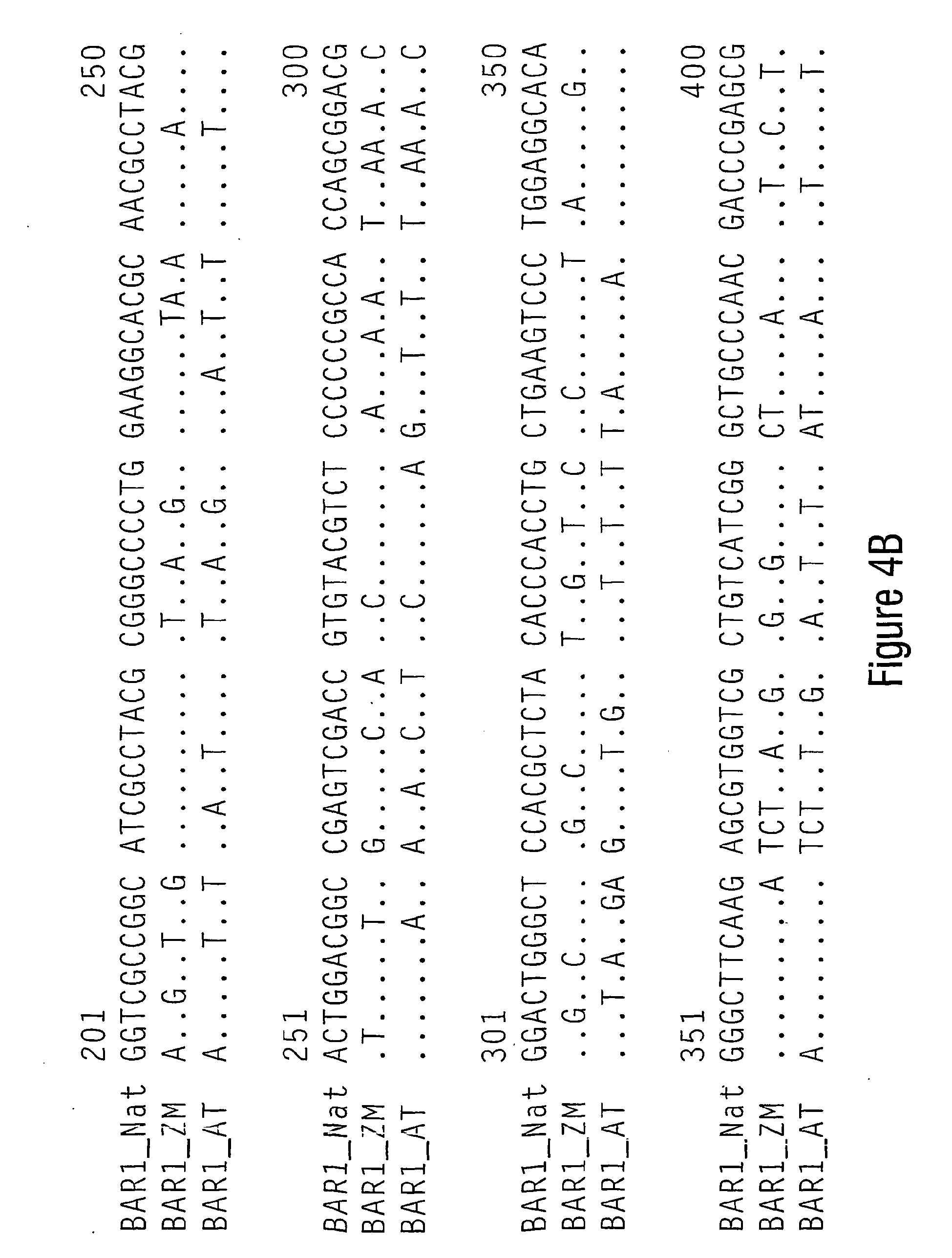 Epb1 Methods For Using Artificial Polynucleotides And Compositions Thereof To Reduce Transgene Silencing Google Patents Epb1 Methods For Using Artificial Polynucleotides And Compositions Thereof To Reduce Transgene Silencing Google Patents