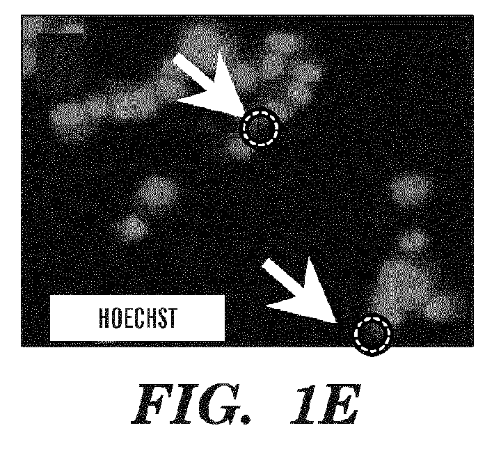 Figure imgaf005