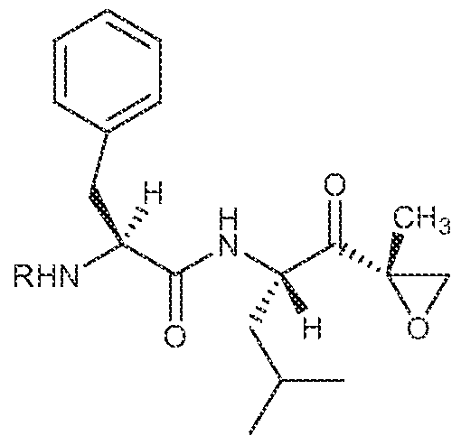 Figure imgf000006_0001