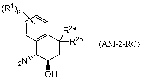 Figure JPOXMLDOC01-appb-I000077