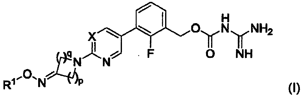 Figure imgb0836