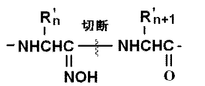 Figure JPOXMLDOC01-appb-C000005