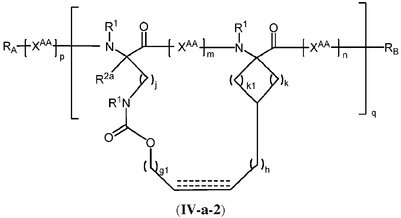 Figure imgb0132
