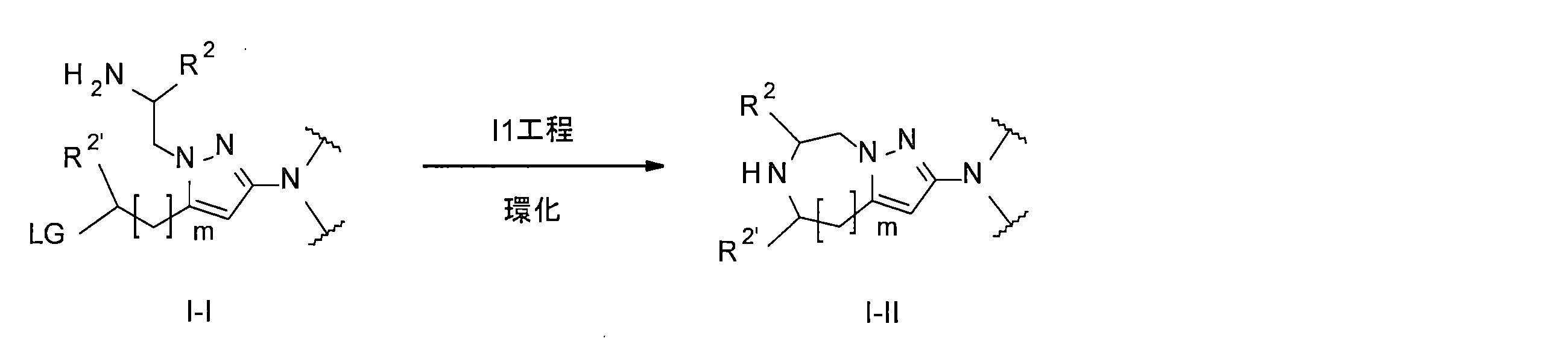 Figure JPOXMLDOC01-appb-C000036