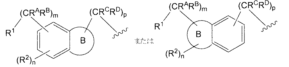 Figure JPOXMLDOC01-appb-C000011