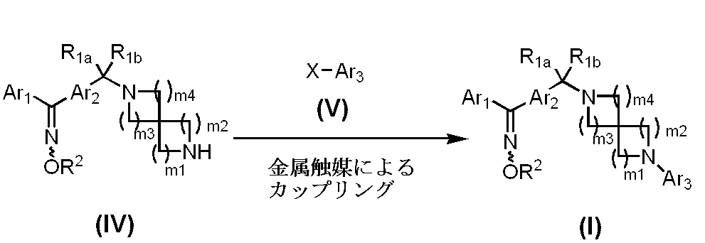 Figure JPOXMLDOC01-appb-C000034