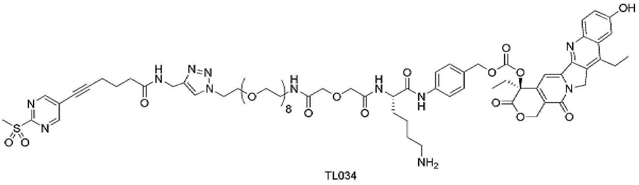 Figure pct00385
