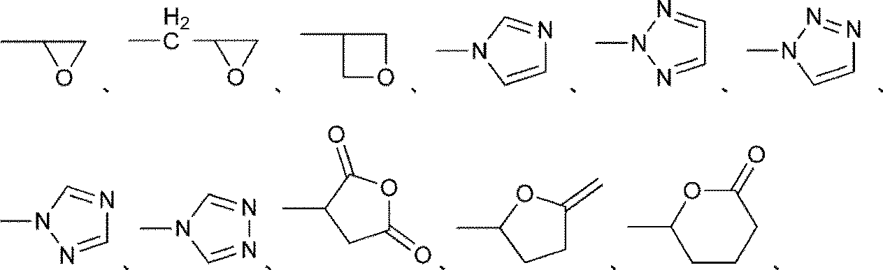 Figure JPOXMLDOC01-appb-C000005