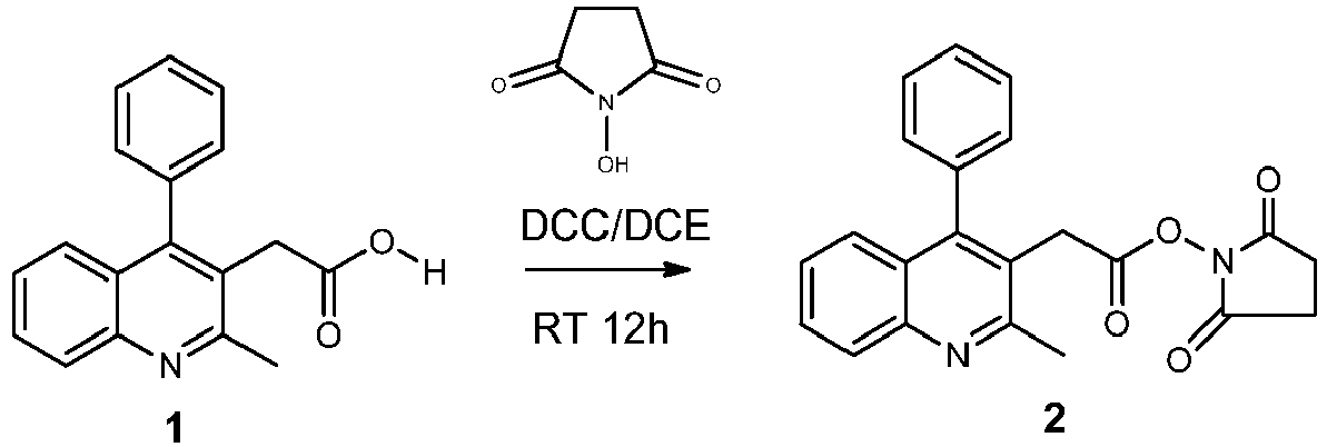 Figure imgb0248