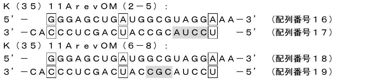 Figure JPOXMLDOC01-appb-I000005