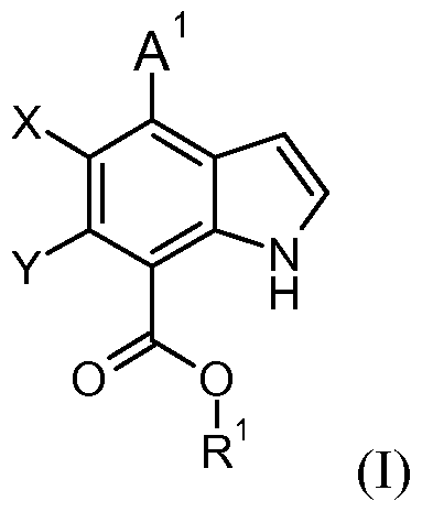 Figure imgf000002_0001