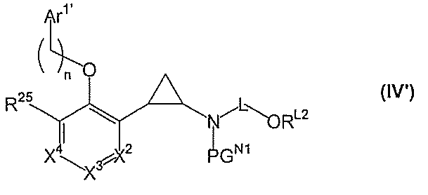 Figure JPOXMLDOC01-appb-C000023