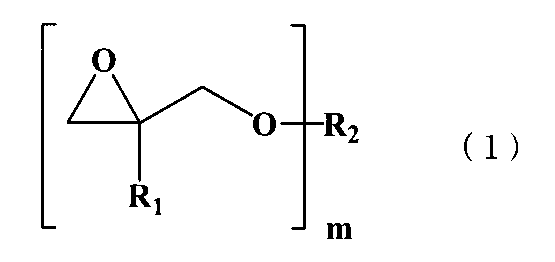 Figure JPOXMLDOC01-appb-C000006