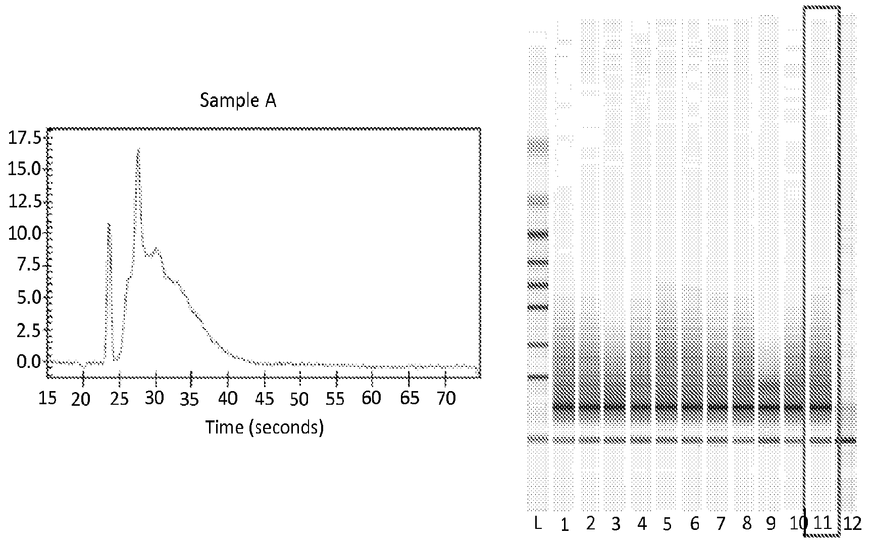 Figure imgf000053_0001