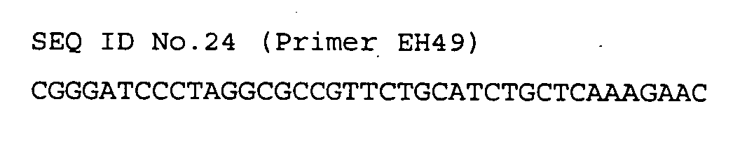Figure 00430004