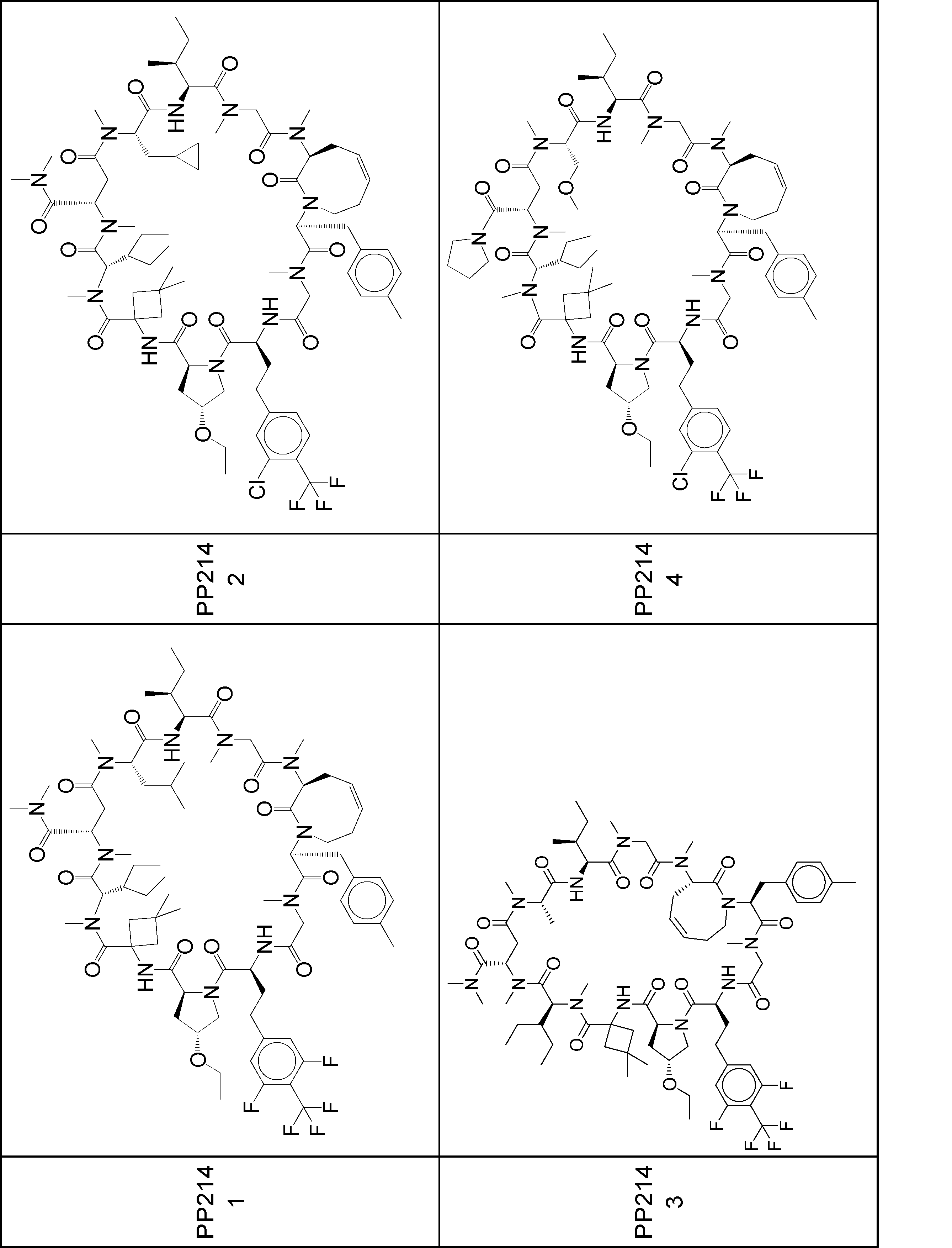 Figure JPOXMLDOC01-appb-I001008