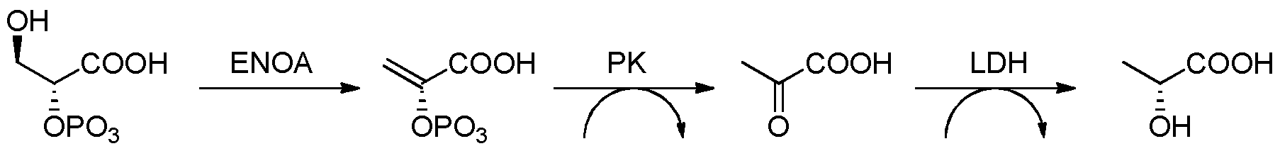 Figure imgf000053_0001